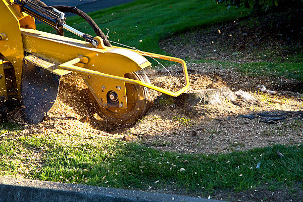 Artificial Turf Installation in Metairie, LA